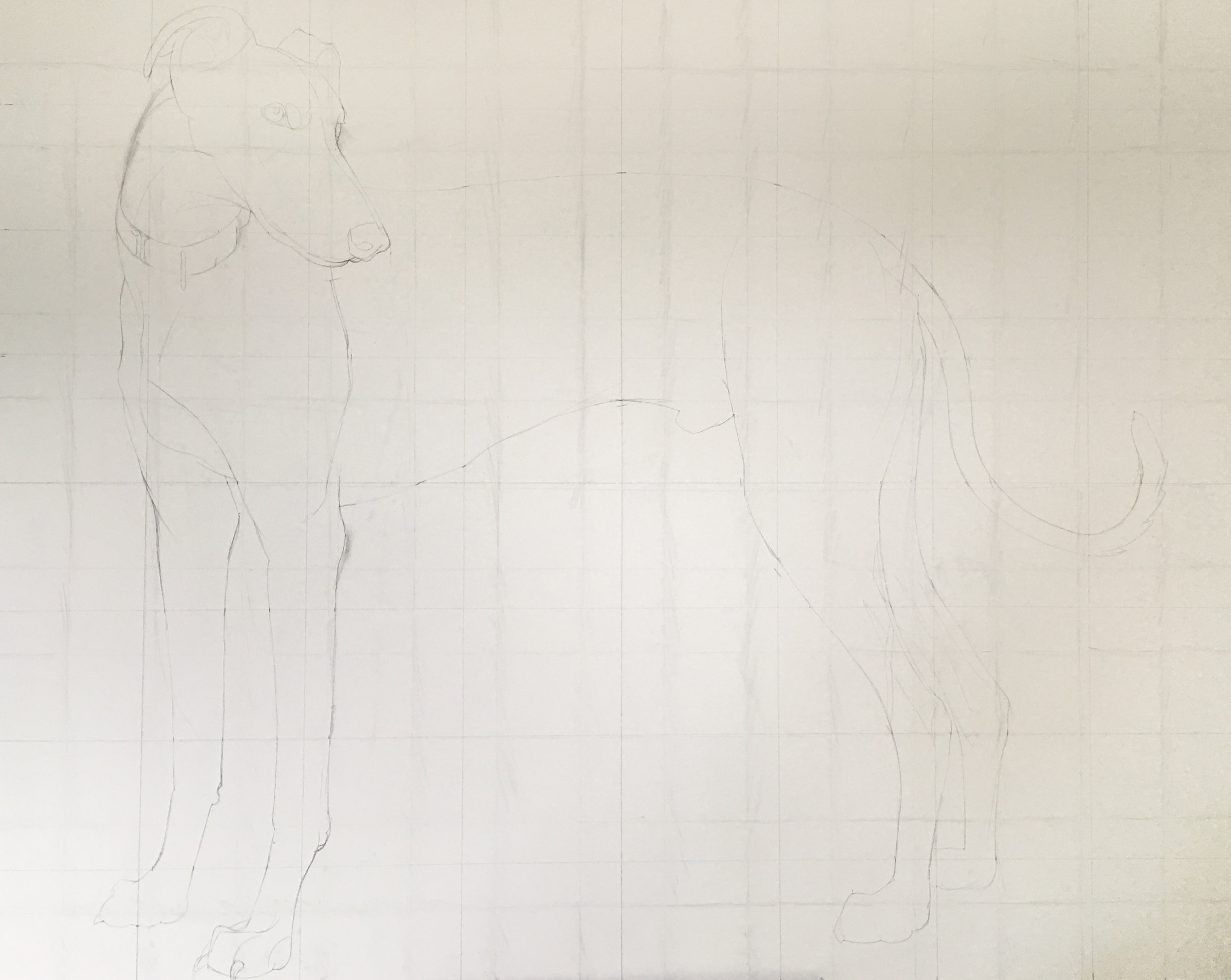 Greyhound Painting 6-2.jpg