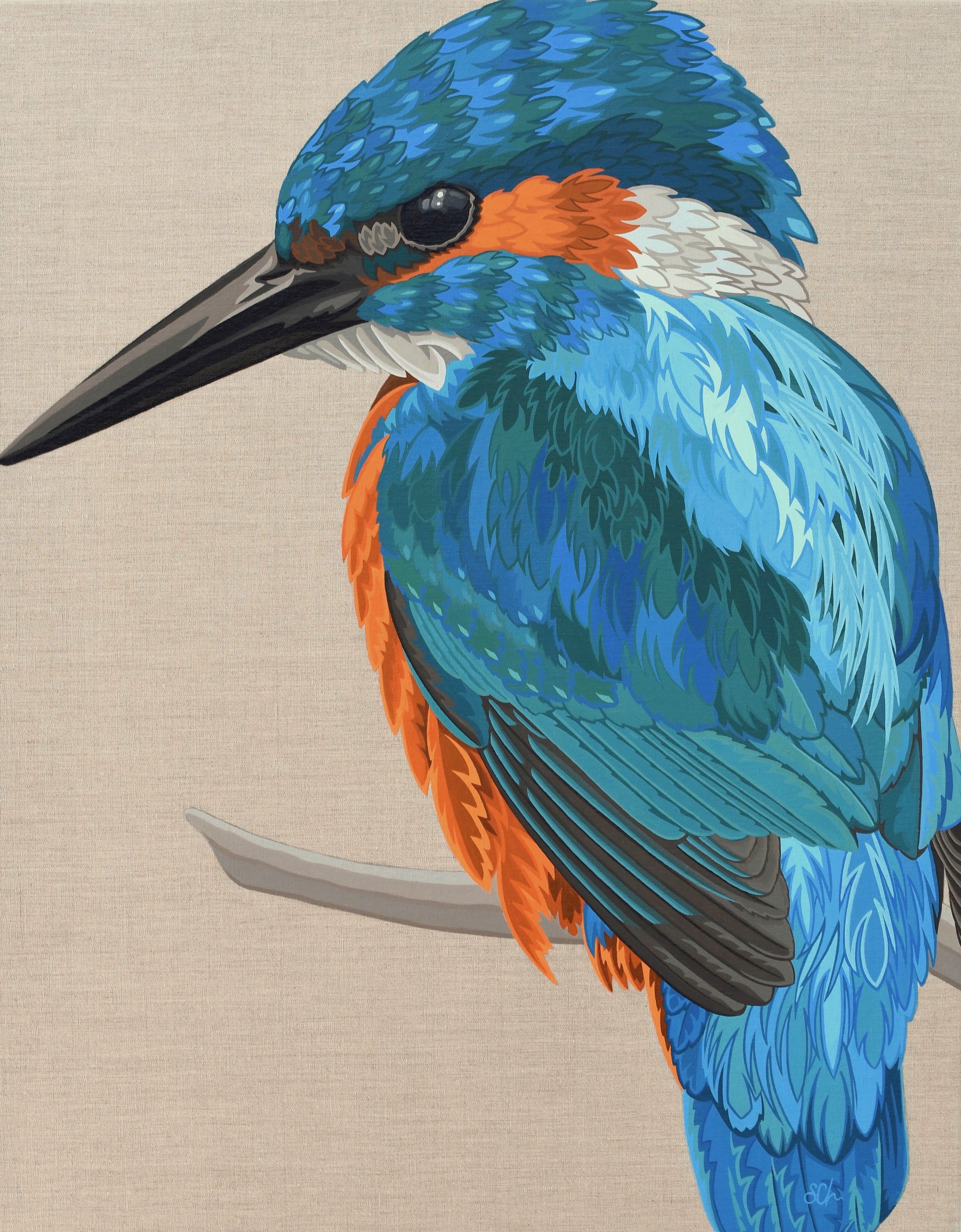 Kingfisher