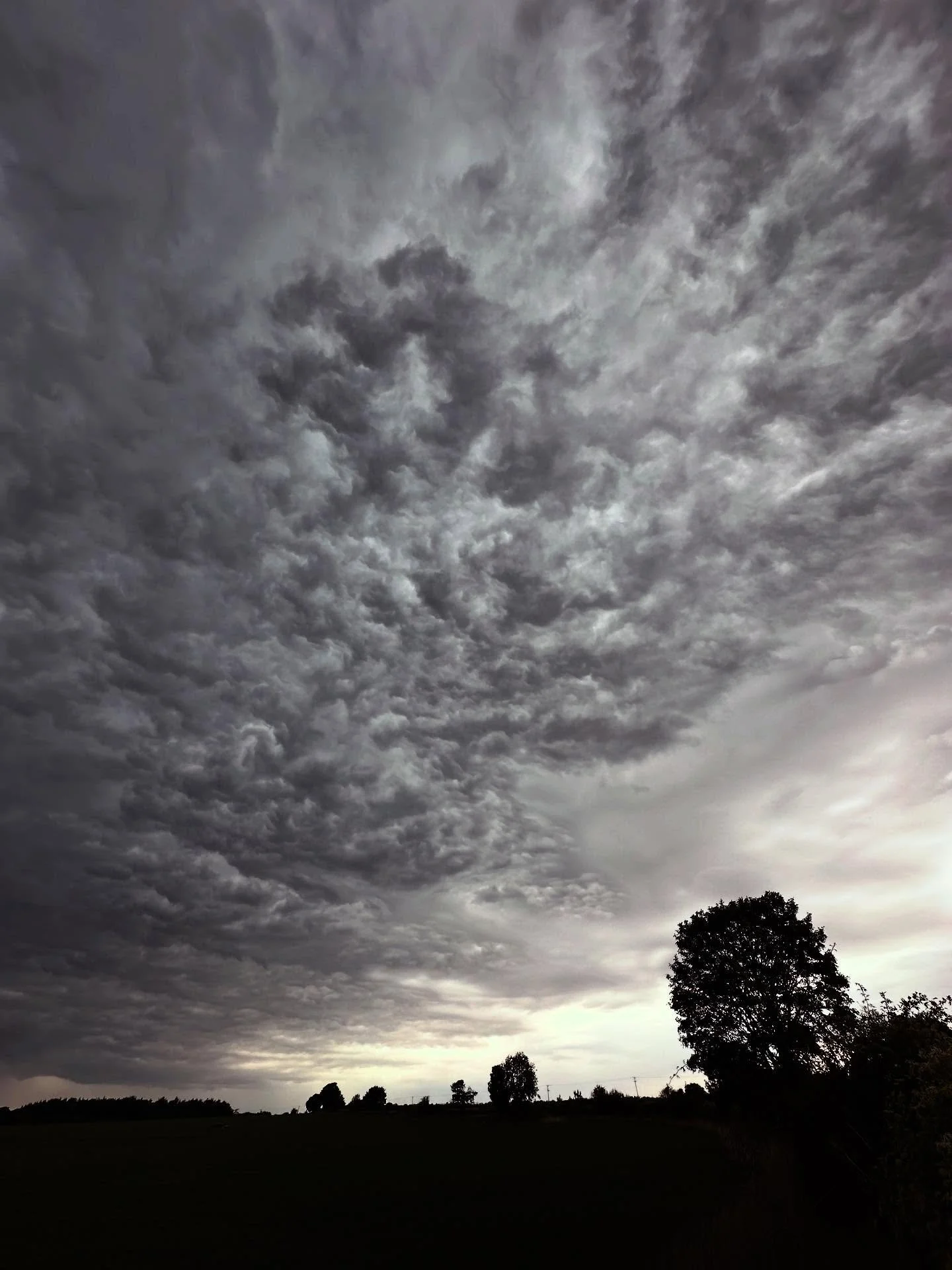 A pretty cool mix of nimbostratus and altocumulus preceding a storm front in the south Cotswolds this morning

#clouds #nimbostratus #altocumulus #stormclouds #storm #cotswolds #bath #weather #britain #countryside #uk
