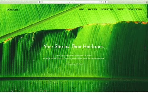 giphy - Web Interaction.gif