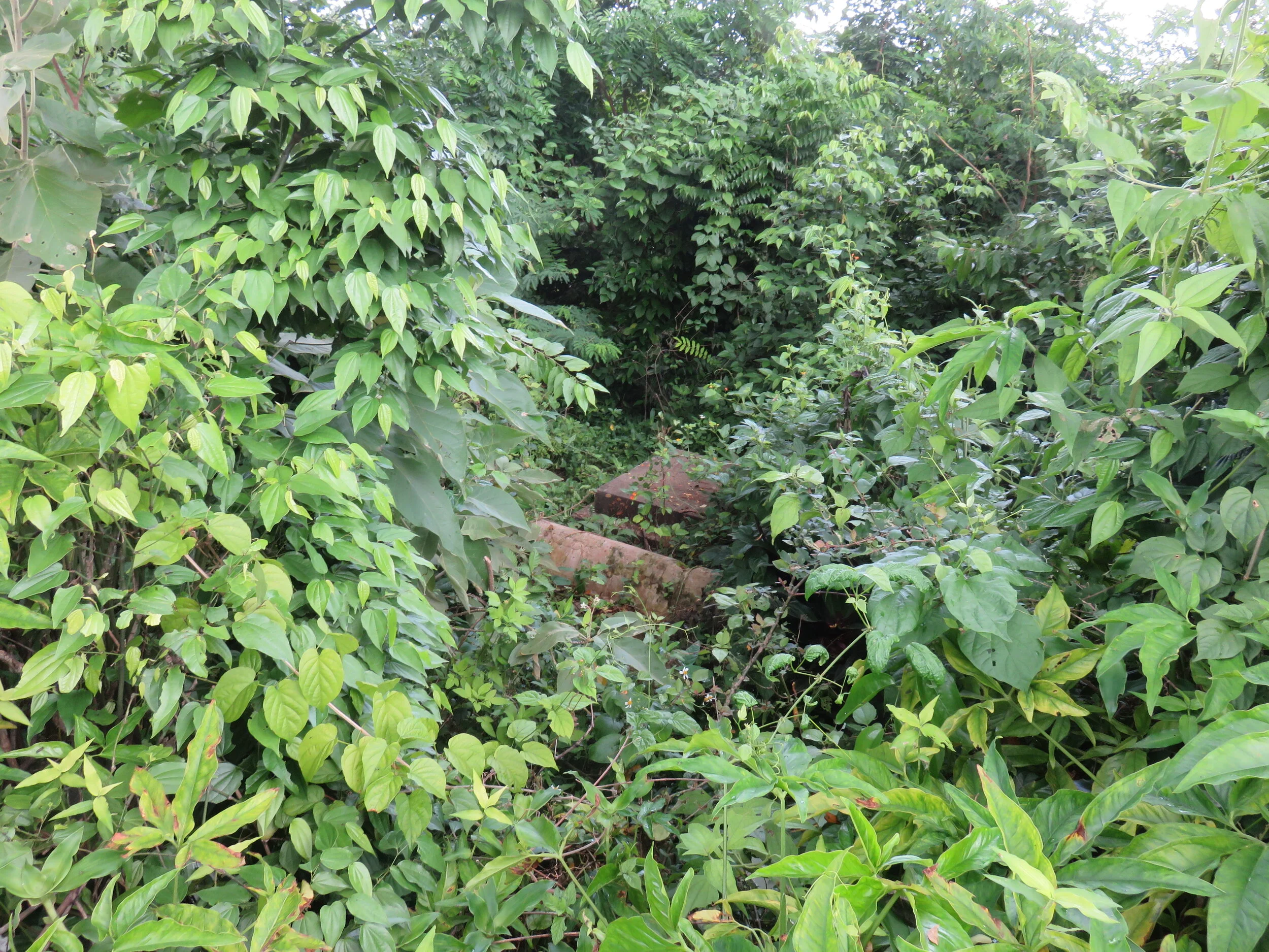 Mocho, First sight of graves.JPG