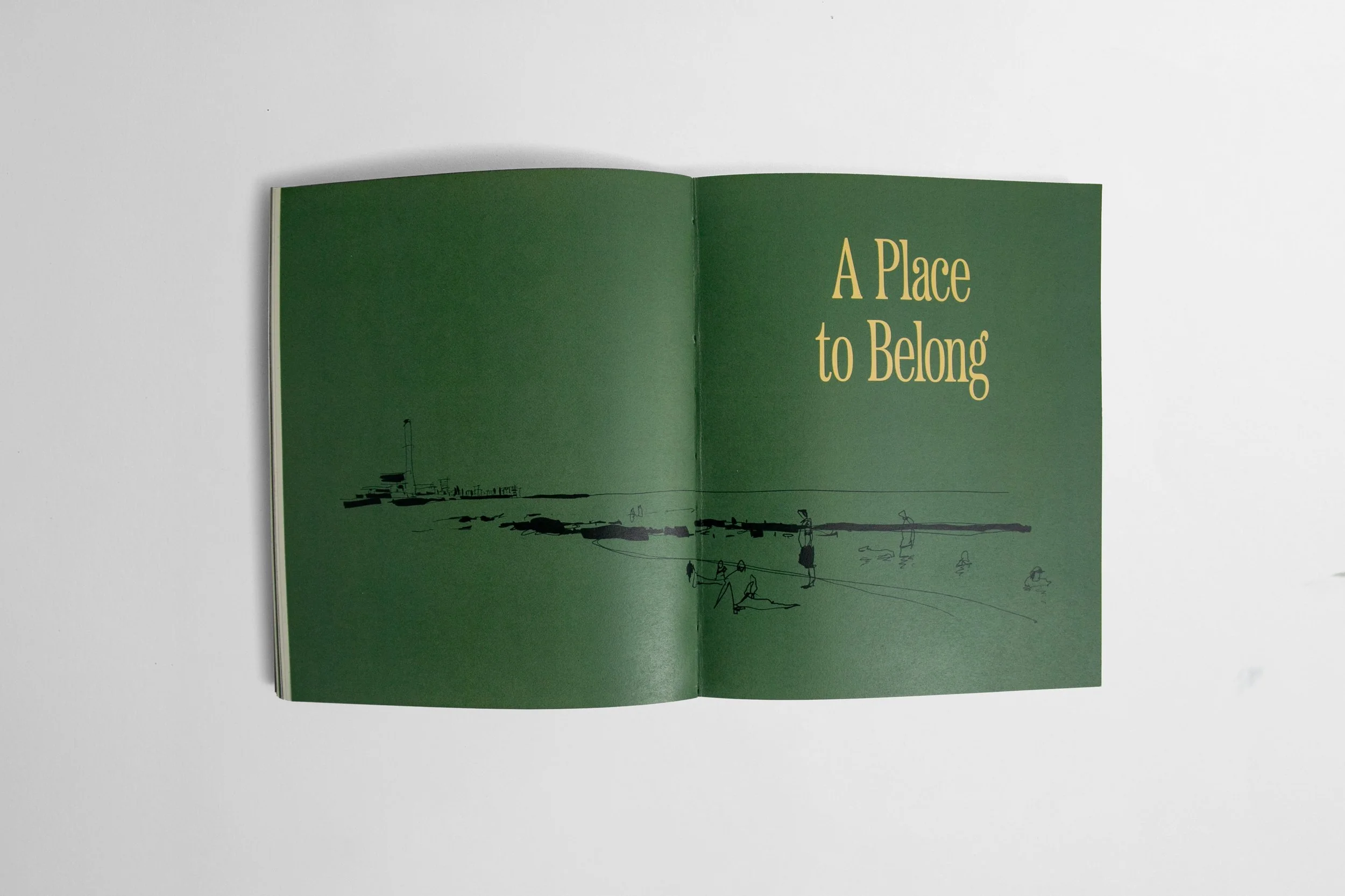 Chapter spread - A Place To Belong.jpg