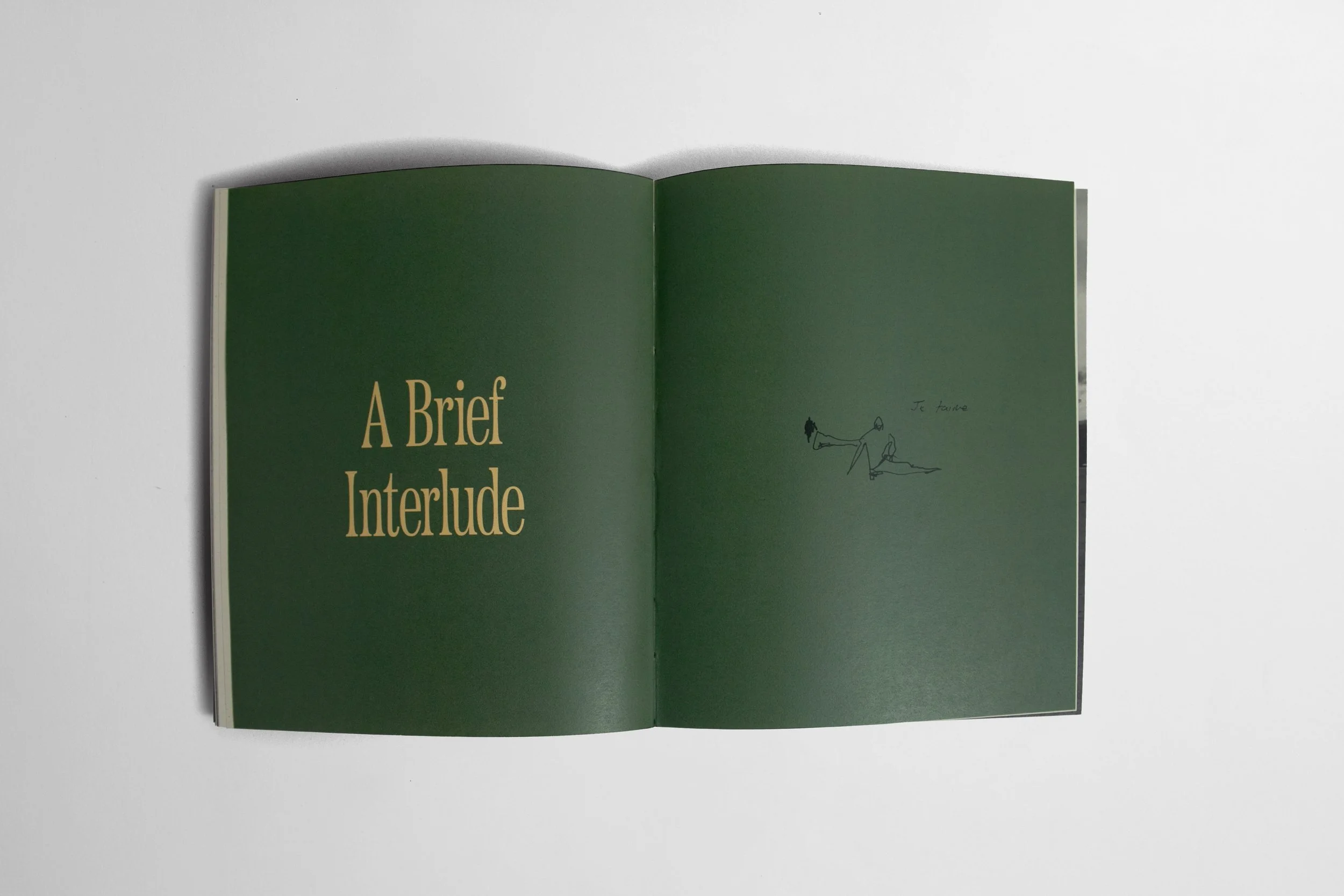 Chapter spread - A Brief Interlude.jpg