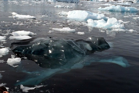 Black Ice in the Peninsula (photo by another geocache adventurer Dave McCullough)