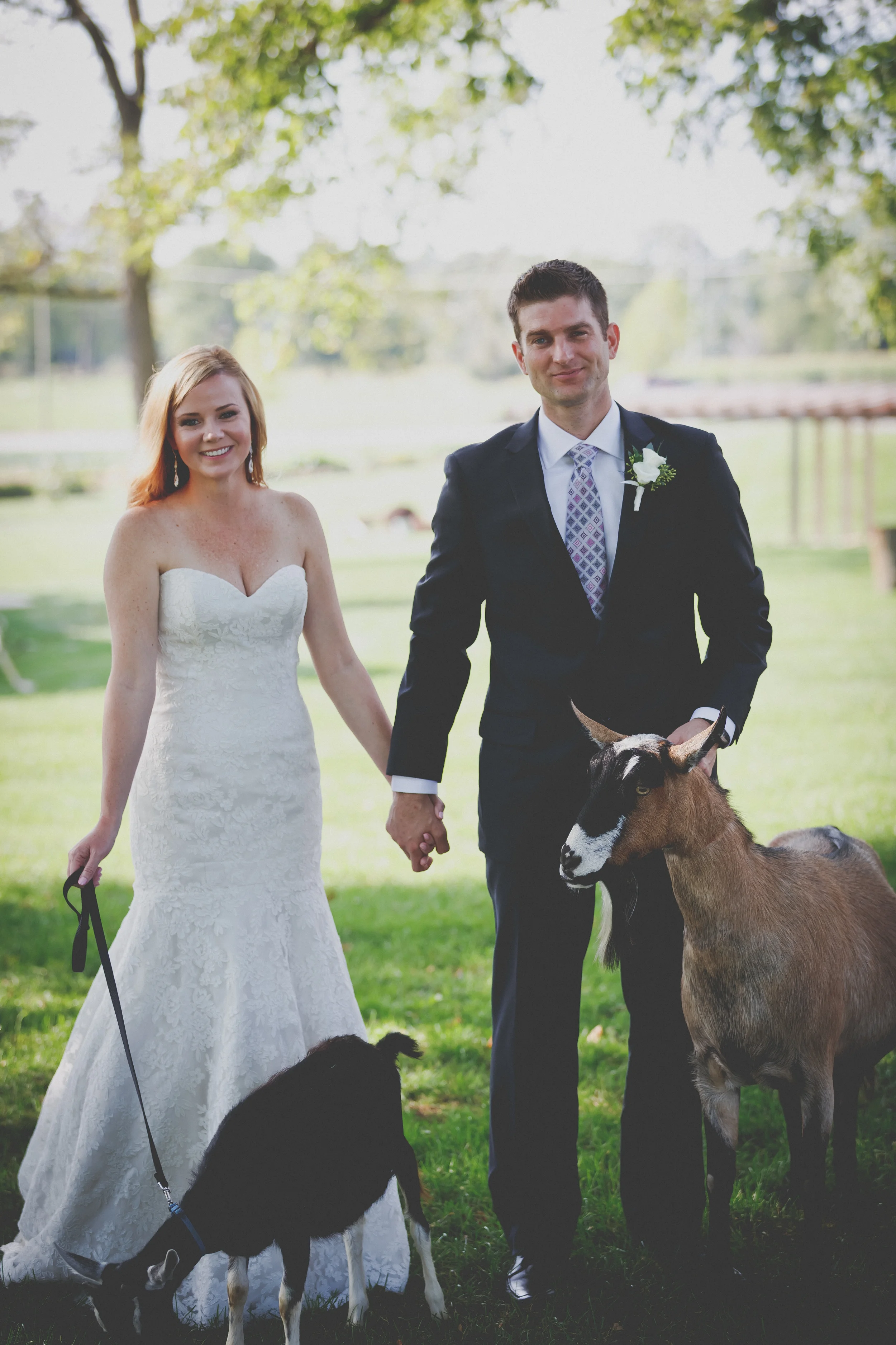 Zingerman's Cornman Farm Intimate Wedding - Nicole and Grant