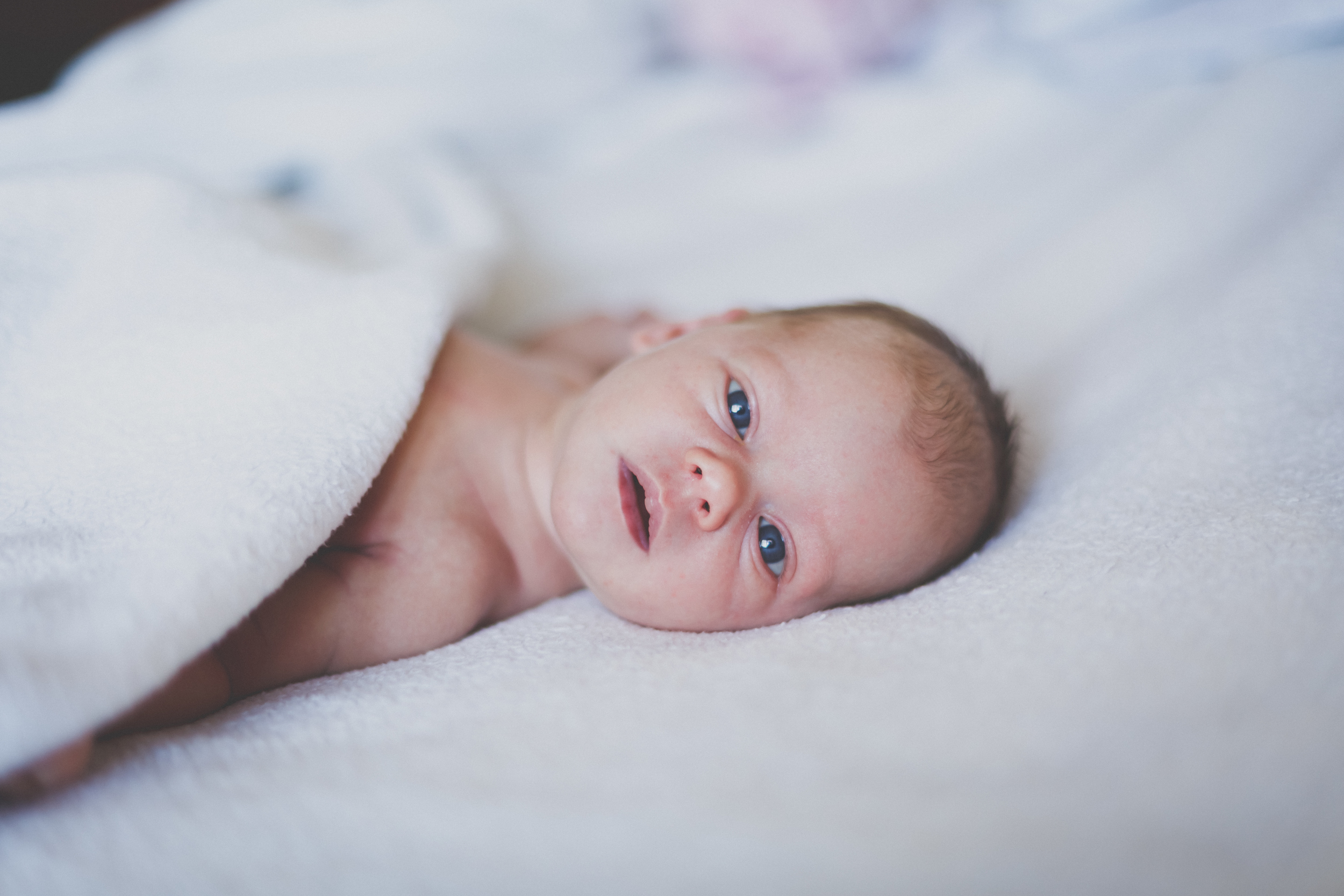 Samantha // Newborn Session