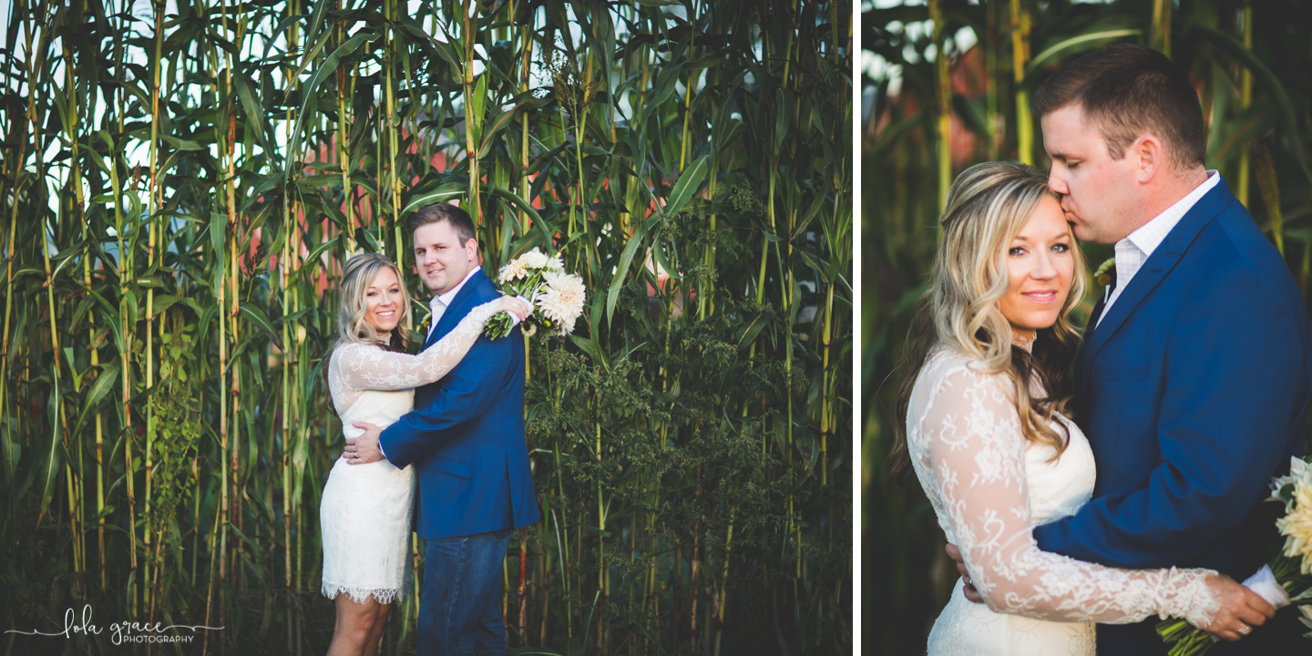 Allison and Sam - Cornman Farms Intimate Wedding