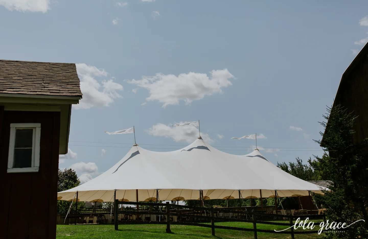 summer-wedding-at-misty-farms-ann-arbor-18.jpg
