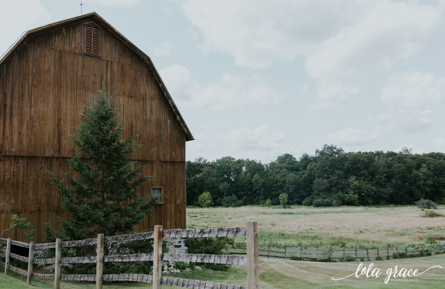 summer-wedding-at-misty-farms-ann-arbor-43.jpg