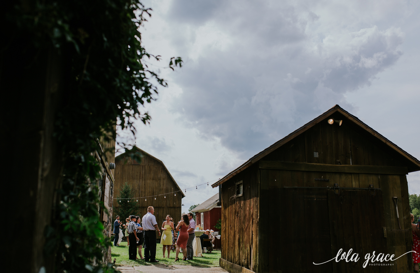 summer-wedding-at-misty-farms-ann-arbor-83.jpg