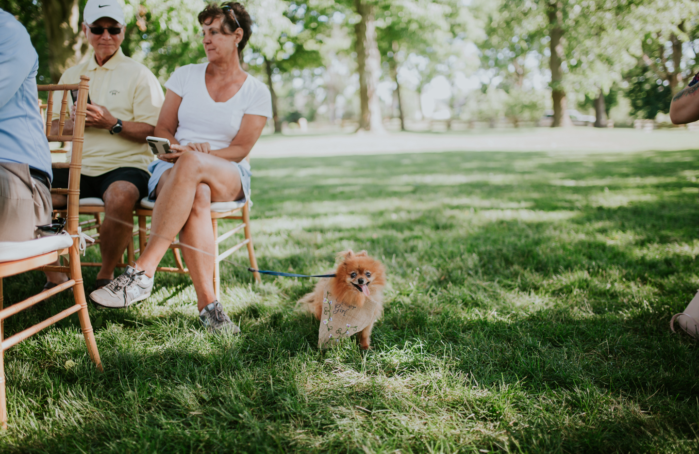 lola-grace-photography-dog-intimate-wedding-11.jpg