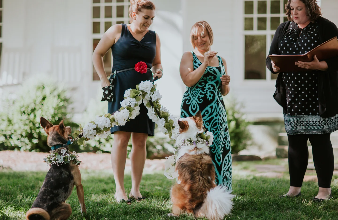 lola-grace-photography-dog-intimate-wedding-16.jpg