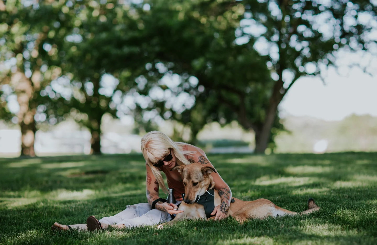 lola-grace-photography-dog-intimate-wedding-18.jpg
