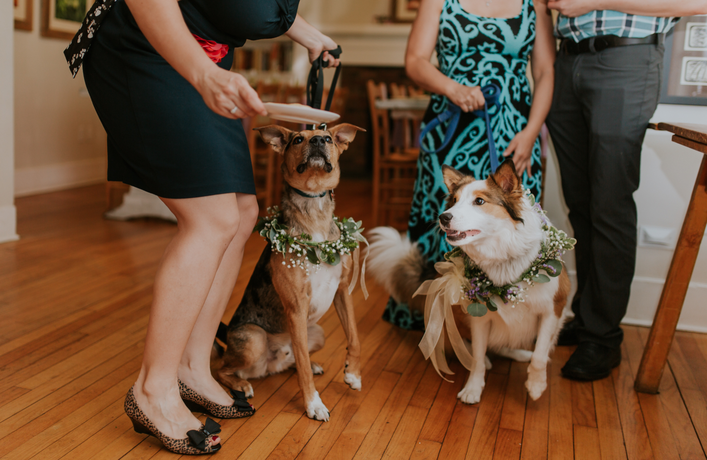 lola-grace-photography-dog-intimate-wedding-25.jpg