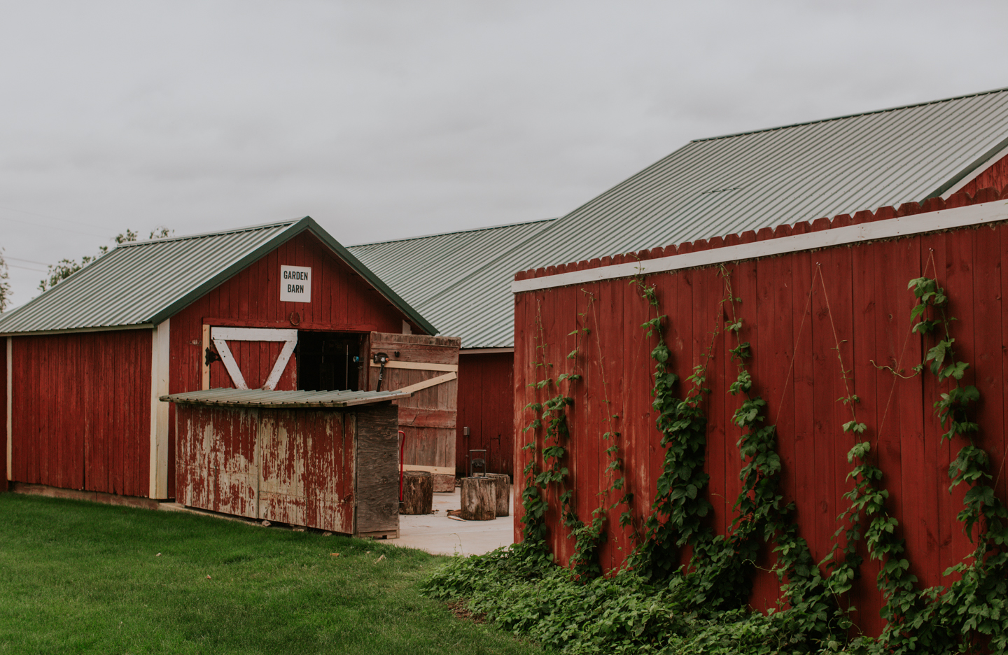 LGP-zingermans-cornman-farms-summer-farm-wedding-goats-023.jpg