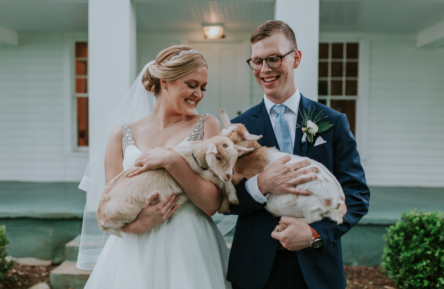 LGP-zingermans-cornman-farms-summer-farm-wedding-goats-028.jpg