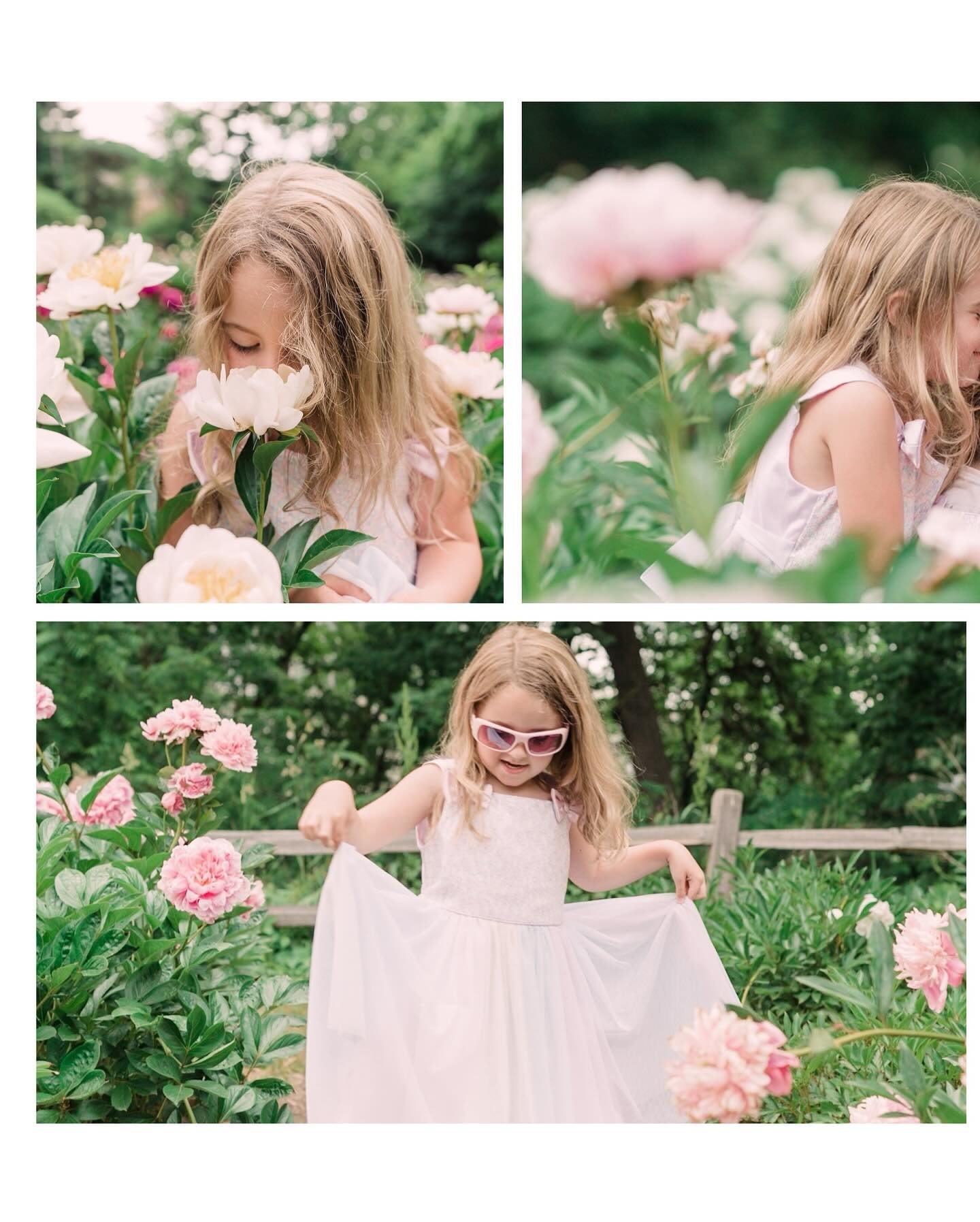 Just launched some new mini sessions including dates for the Peony Garden in Nichols Arboretum!! Mini sessions are $300 and includes a 20-minute session, 15-20 edited digital files with a print release delivered in an online gallery with instant down