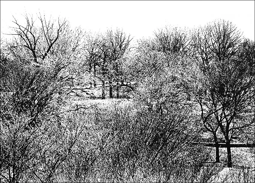 St.-Mary's-Park.jpg