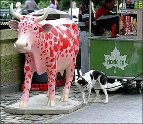 cow2-F-L-W.jpg