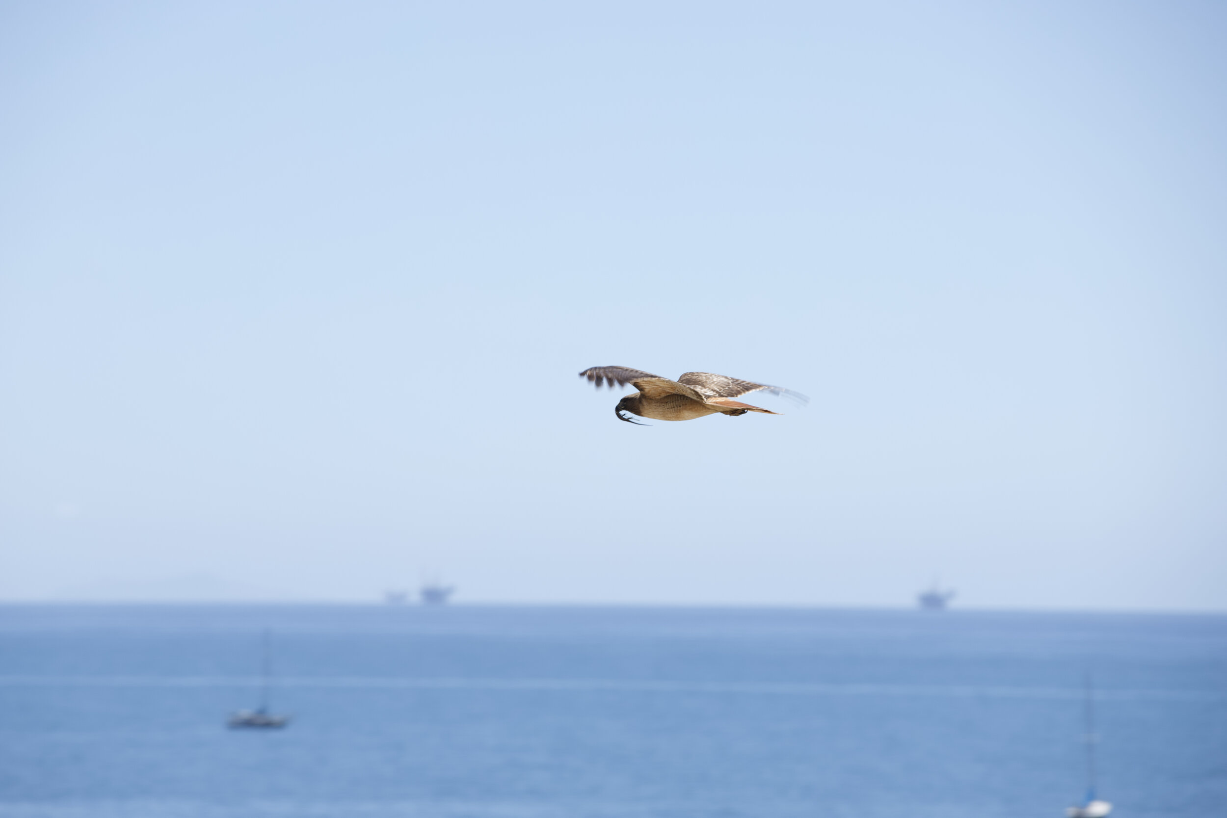 IMG_0296.jpeg