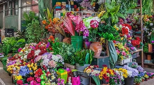 Bolhao market.jpeg