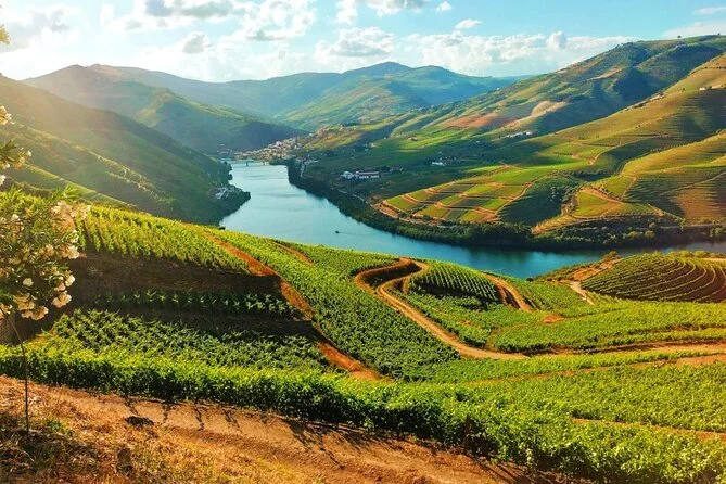 Porto and the Douro Valley