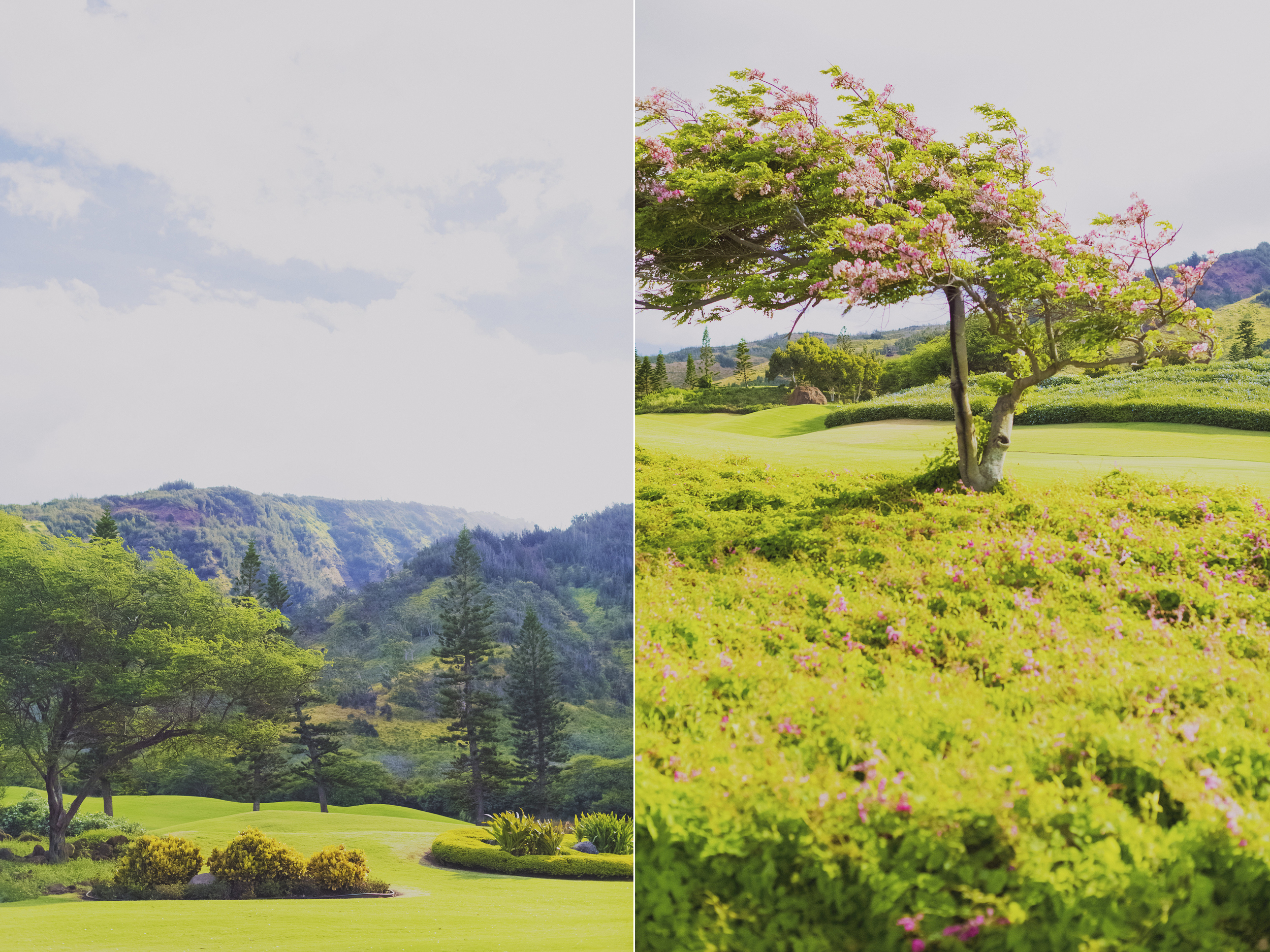 angie-diaz-photography-maui-king-kamehameha-golf-club-wedding-jenny-jireh-13.jpg