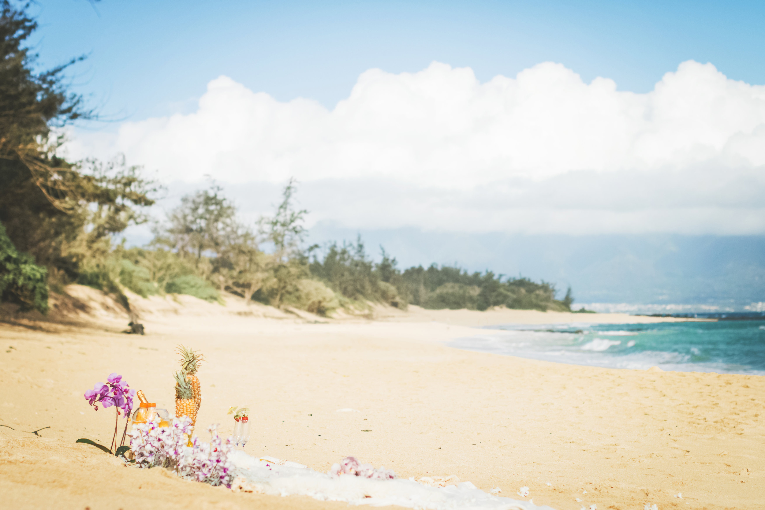 angie-diaz-photography-maui-proposal-baldwin-beach-aimee-tyler-7.jpg