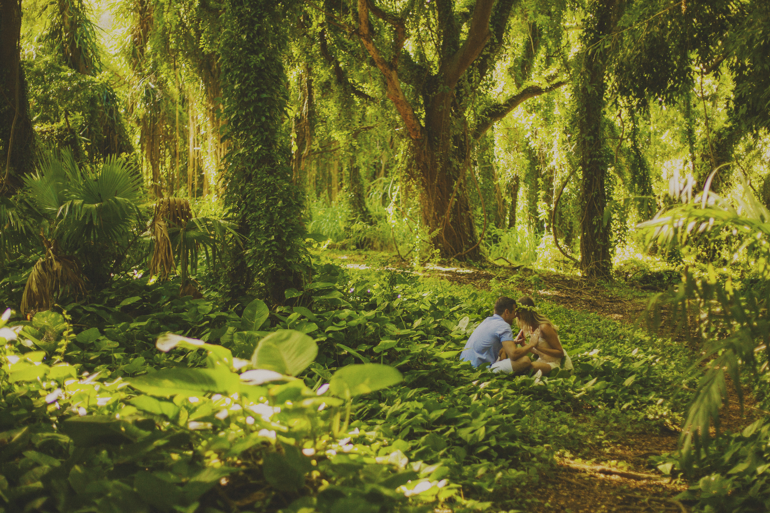 angie-diaz-photography-west-maui-forest-reserve-elopement-4.jpg