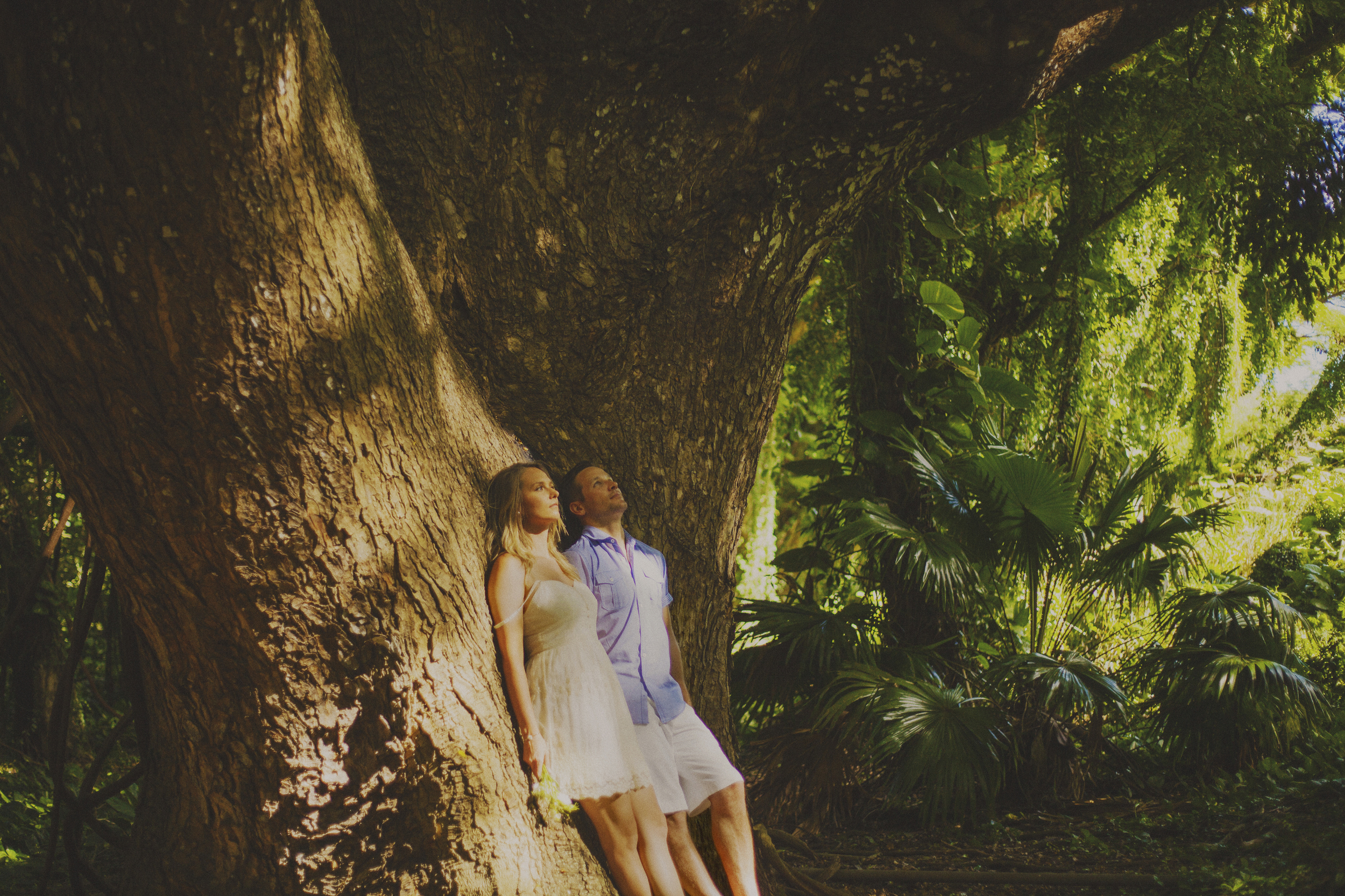 angie-diaz-photography-west-maui-forest-reserve-elopement-7.jpg