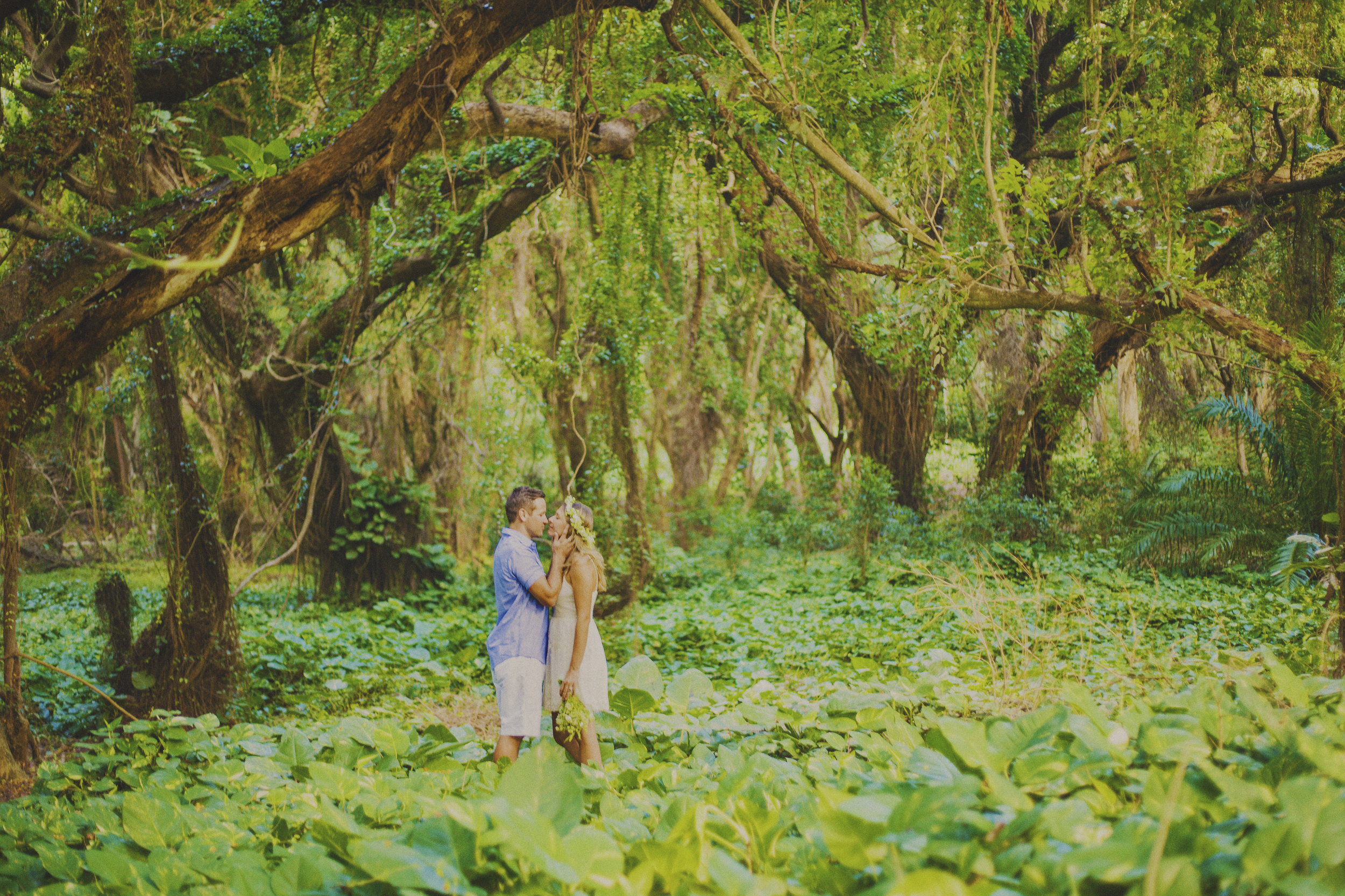 angie-diaz-photography-west-maui-forest-reserve-elopement-12.jpg