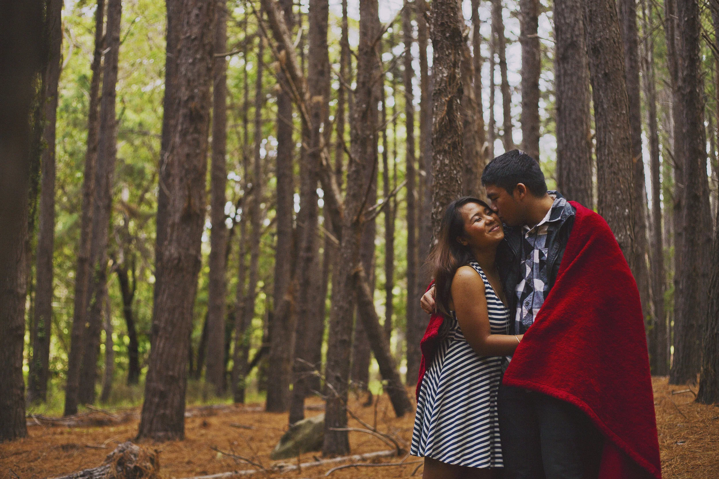 angie-diaz-photography-maui-upcountry-engagement-21.jpg