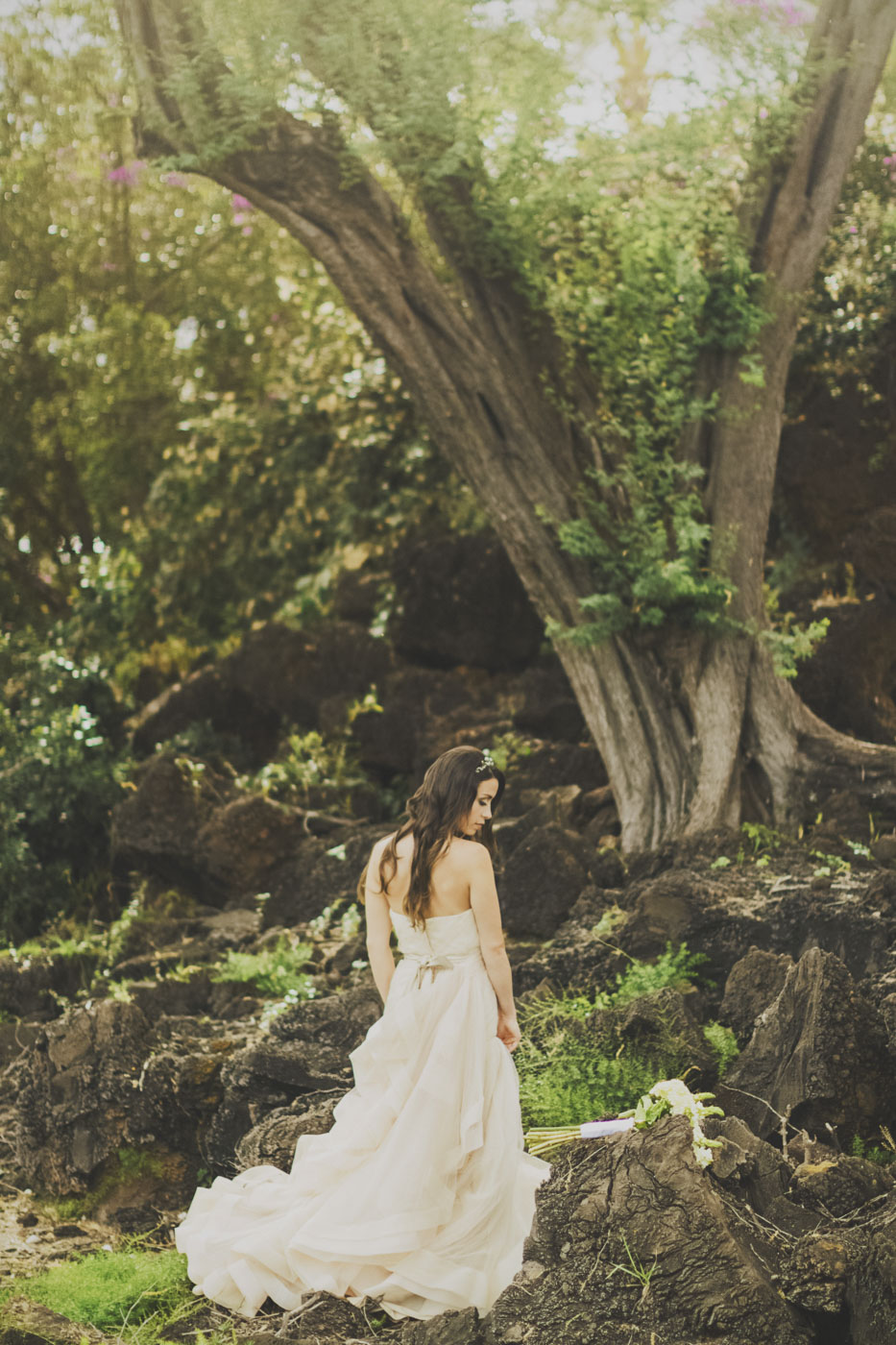  Maui destination photography 