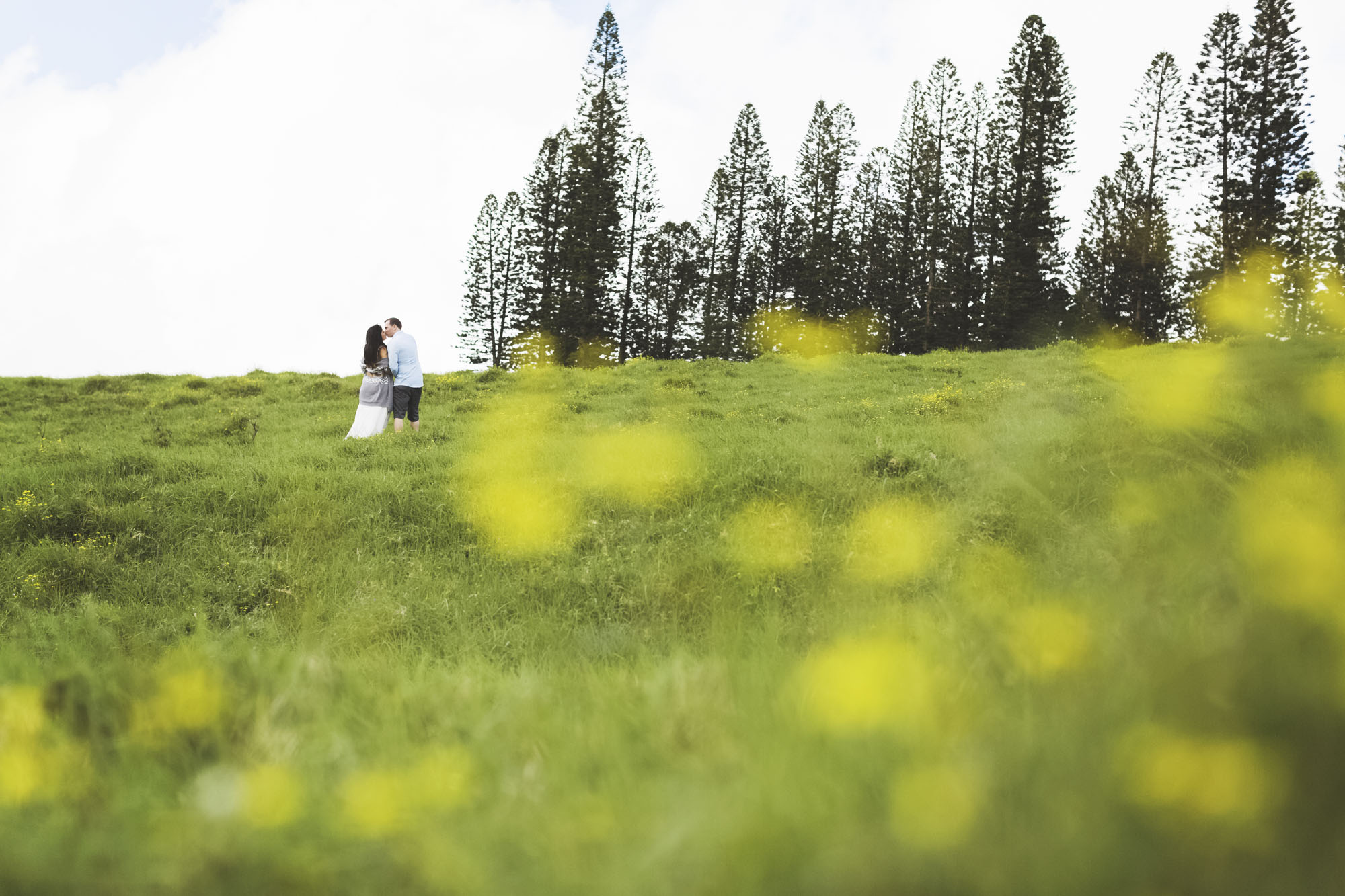 Fine art hawaii maui engagement _11.jpg