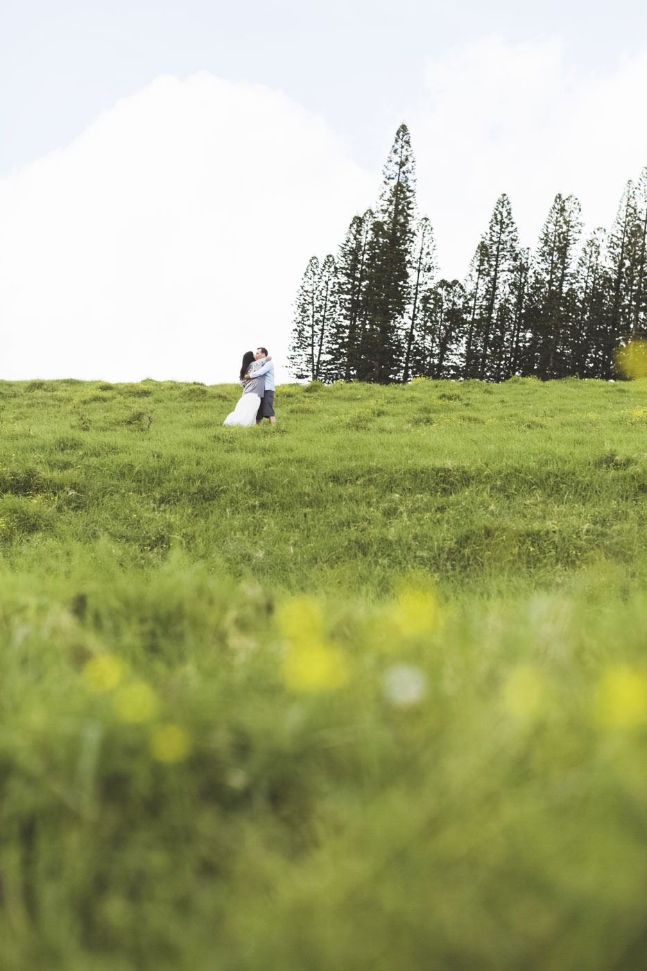 Fine art hawaii maui engagement _14.jpg