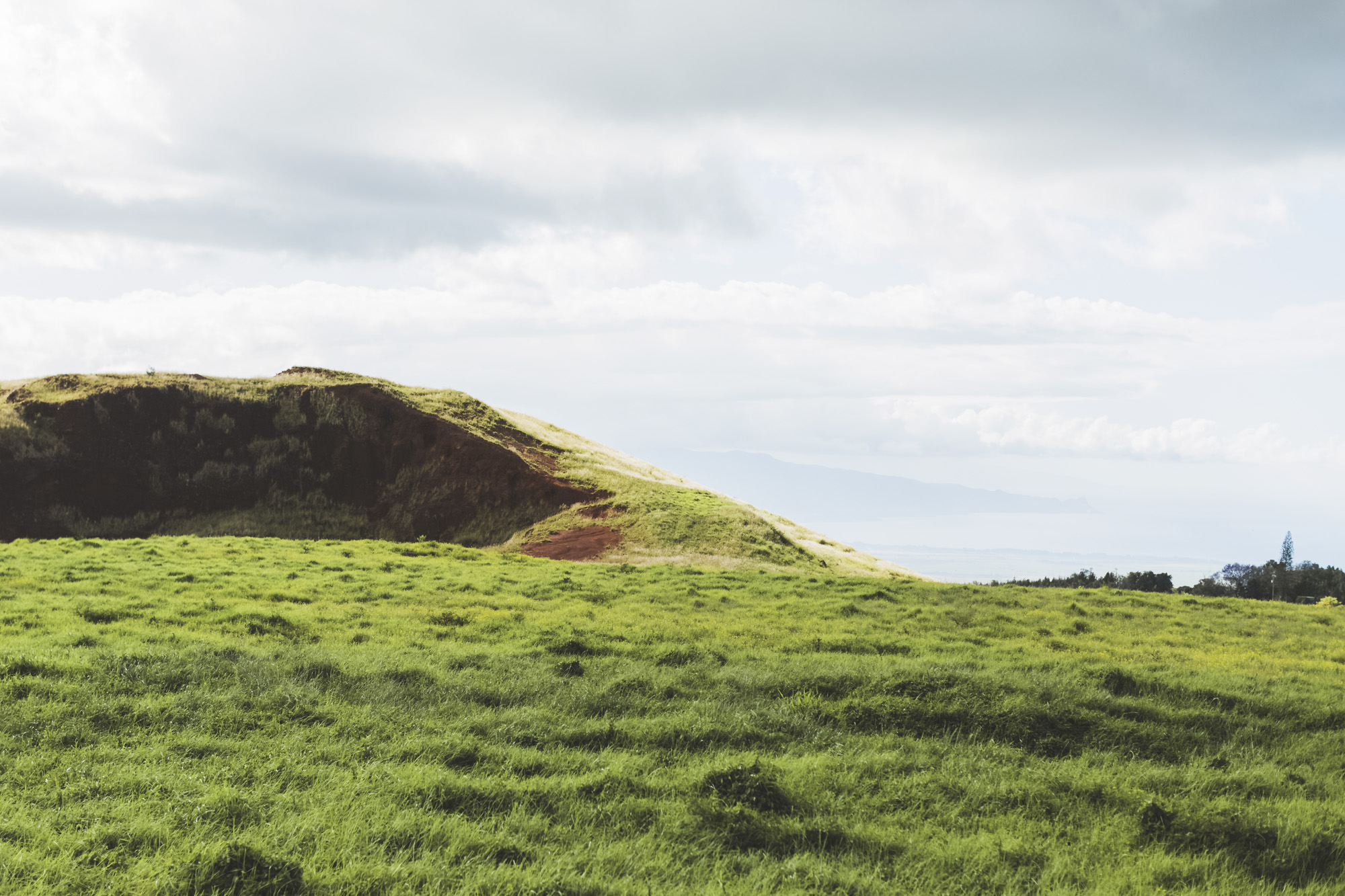 Fine art hawaii maui engagement _77.jpg