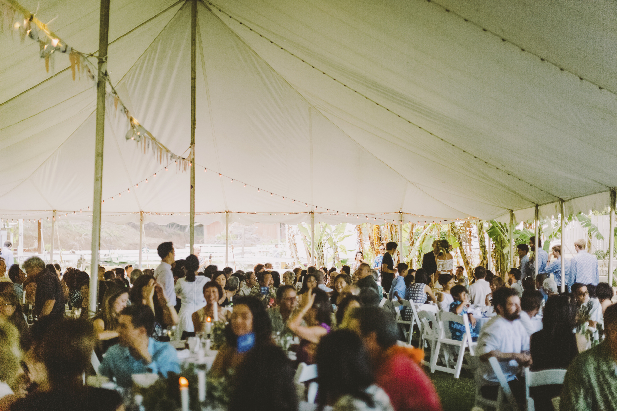 angie-diaz-photography-oahu-hawaii-wedding-tradewinds-ranch-101.jpg