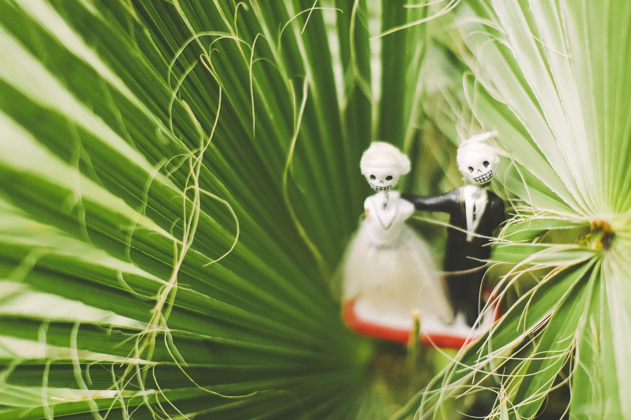 angie-diaz-photography-maui-wedding-21.jpg