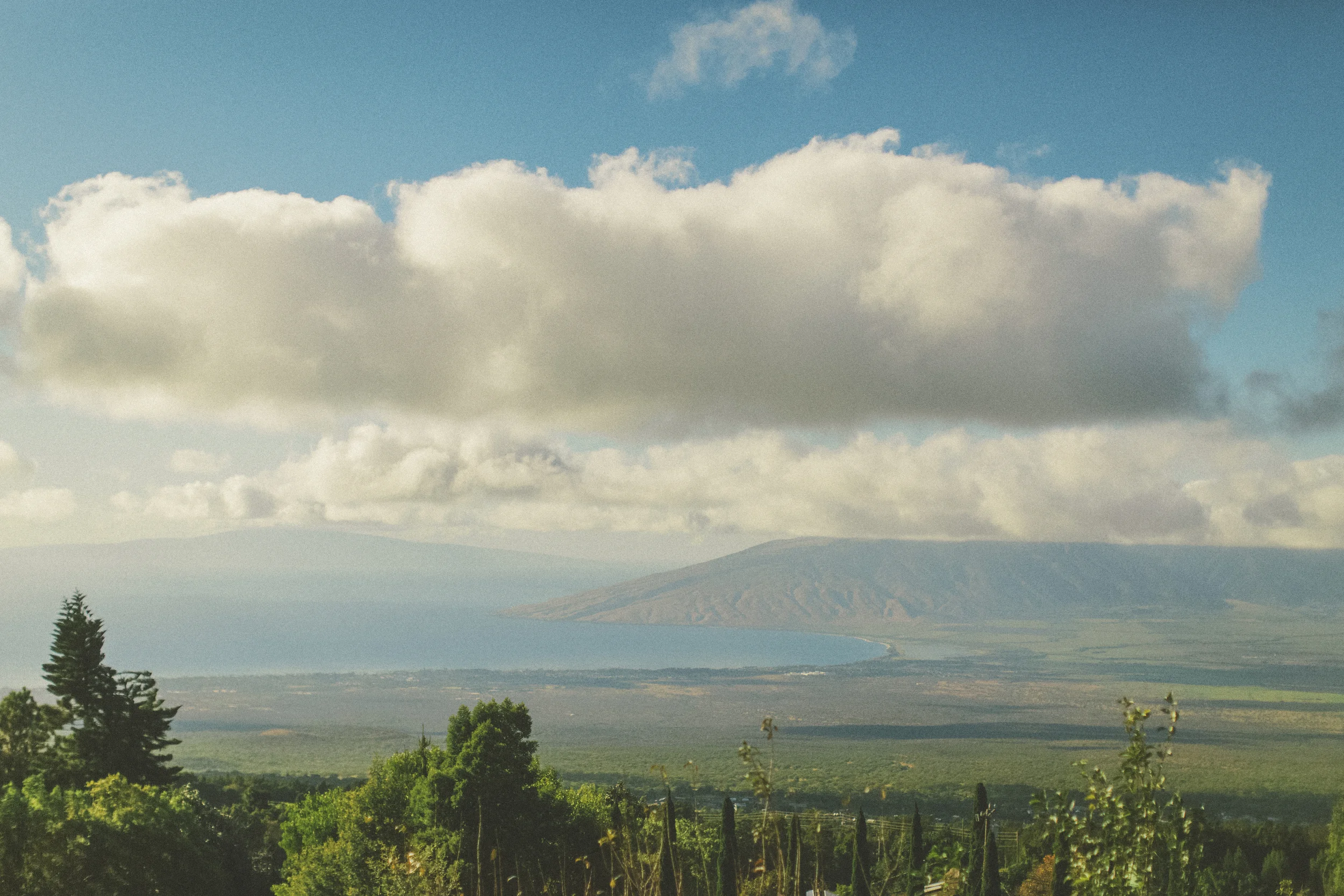 angie-diaz-photography-maui-wedding-88.jpg