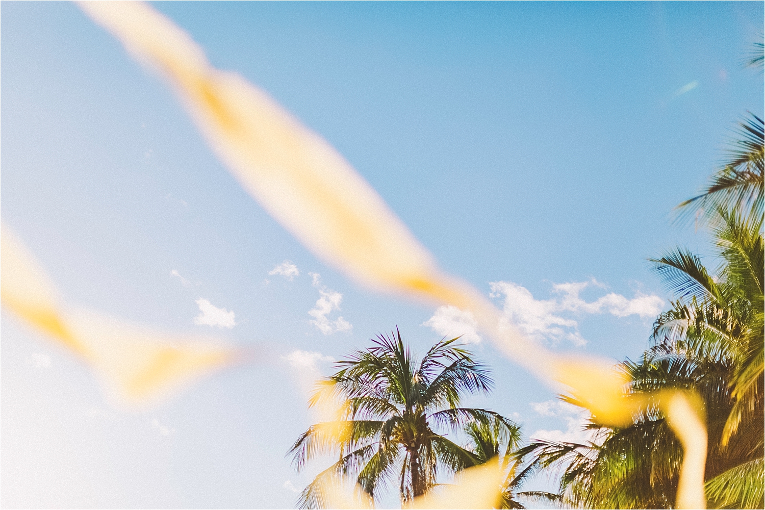 angie-diaz-photography-maui-beach-elopement_0009.jpg