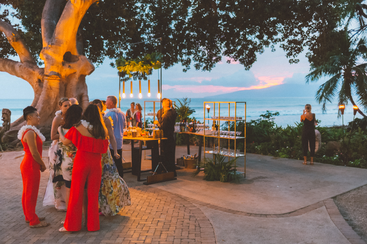 Maui Hawaii Wedding Photographer