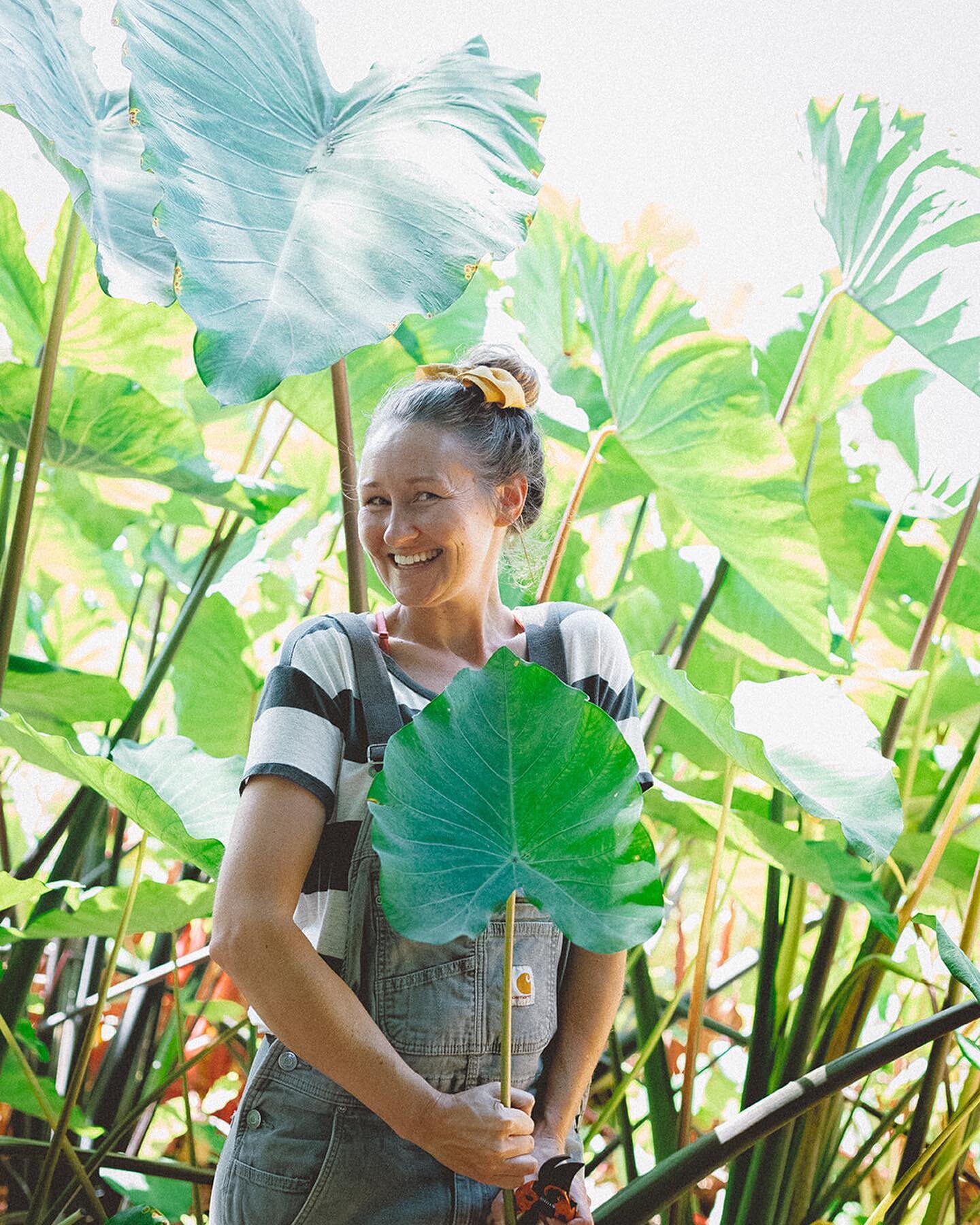 &ldquo;We just want people to grow their own food , we just want people to care about good food ...and graduate from CSA and grown their own food! That&rsquo;s the best compliment&rdquo;&hellip;. 🙌🏾❤️
Heard today at HULI give away by @kupaafarms @h