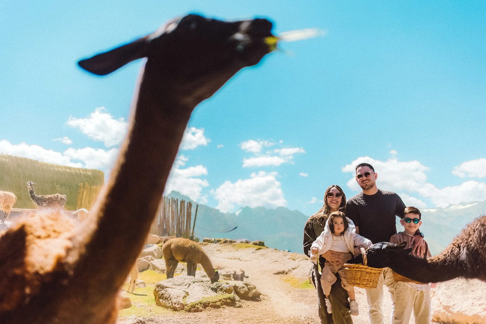 SACRED VALLEY FAMILY PHOTOGRAPHER | MOUNTAIN VIEW PERU