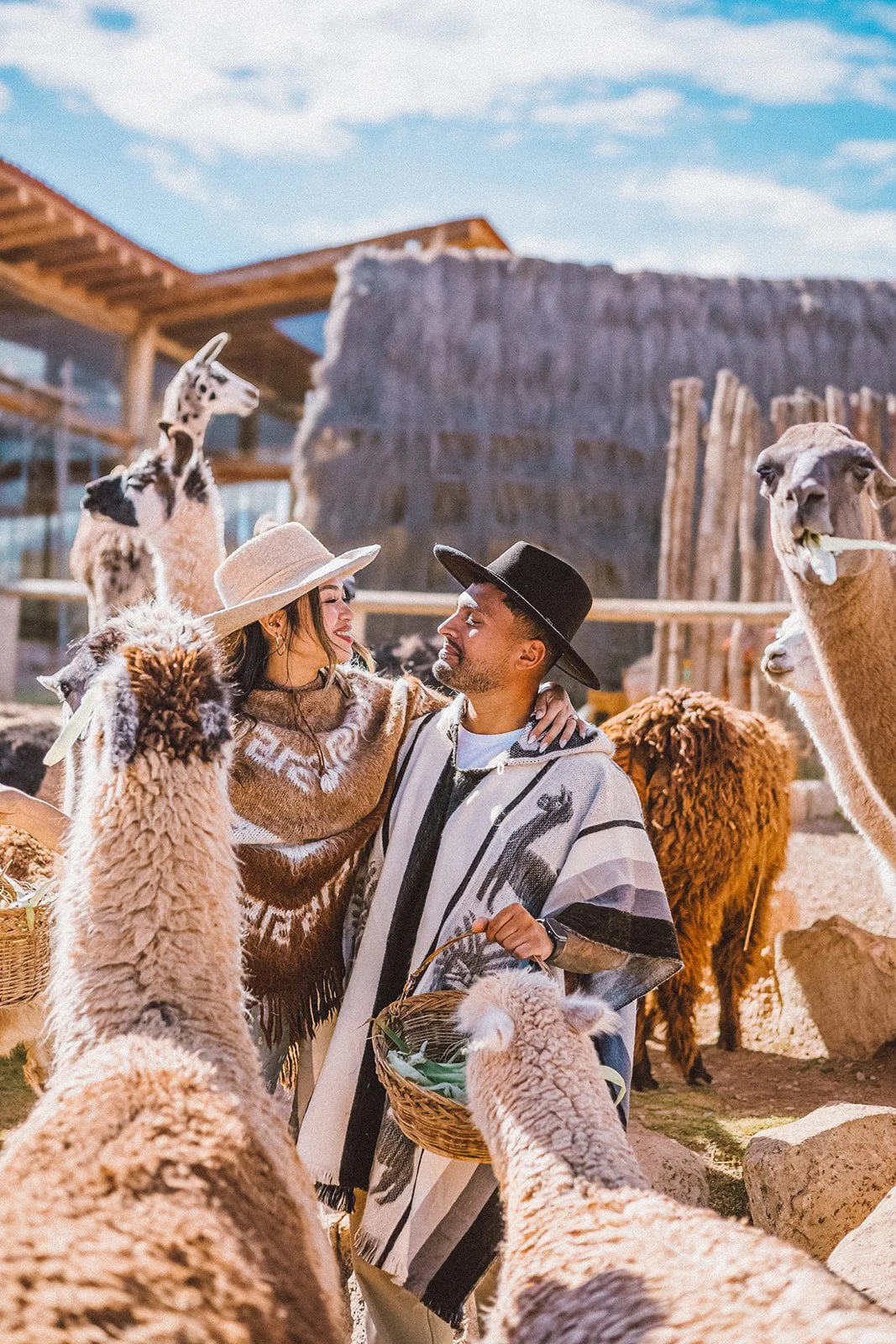 She Said Yes in the Andes: A Romantic Picnic Proposal with Alpacas at Mountain View Experience Maras, Peru