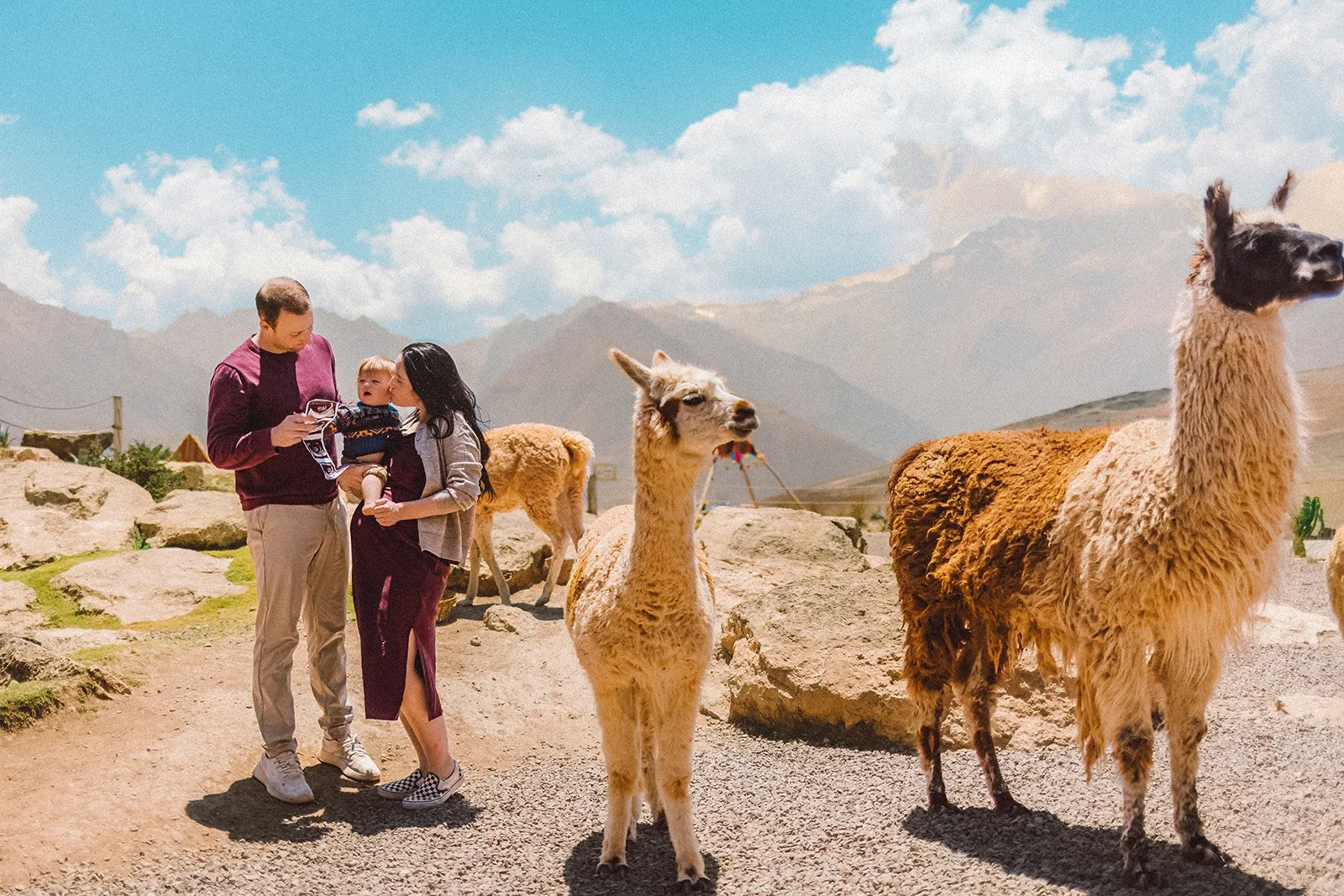 Baby Announcement with Alpacas in Peru at Mountain View Experience, CUSCO