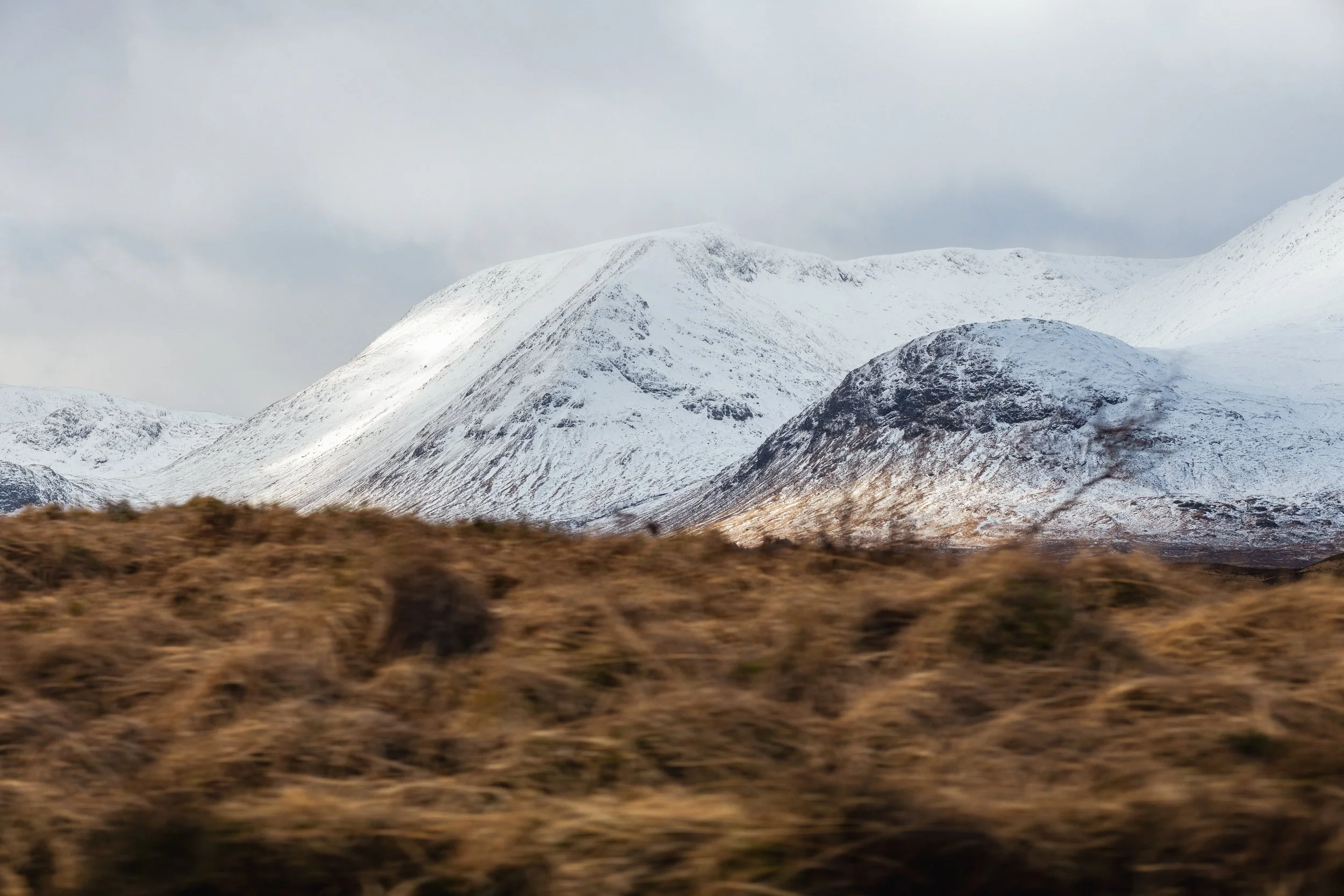 Snow-covered mountains in the background with brownish grass in the foreground.