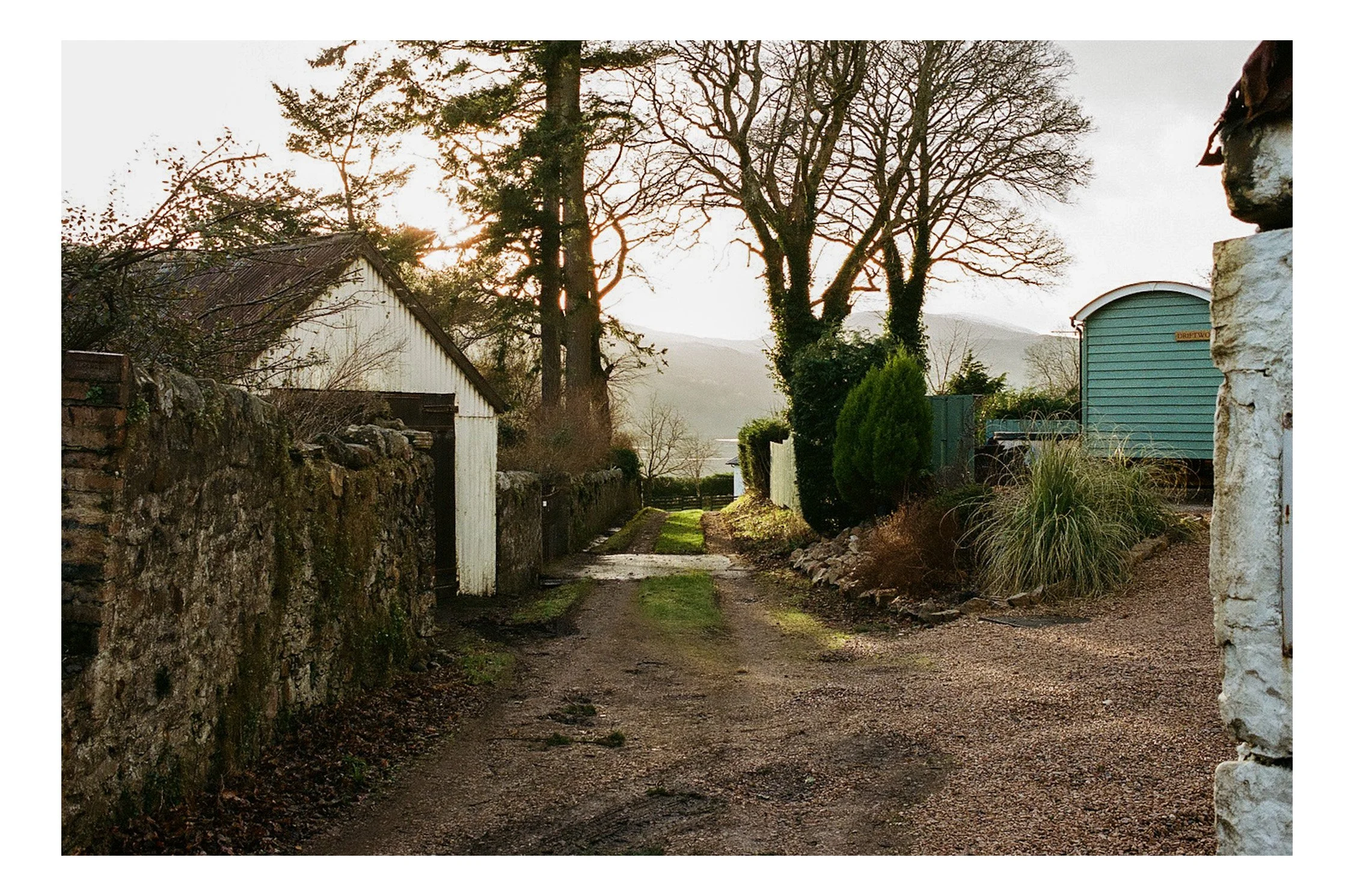 A dirt pathway leading through a rustic rural area with trees, shrubs, and old buildings, bathed in soft sunlight in a peaceful countryside scene.