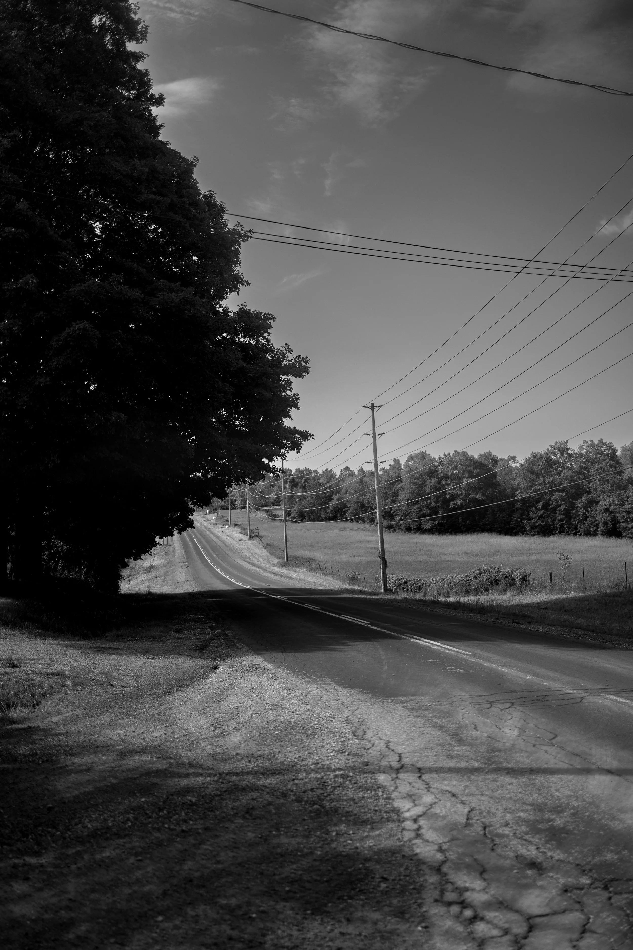 A black and white photo of a rural road at sunset or sunrise, with a large tree on the left and power lines stretching across the sky and along the road, leading into the distance.