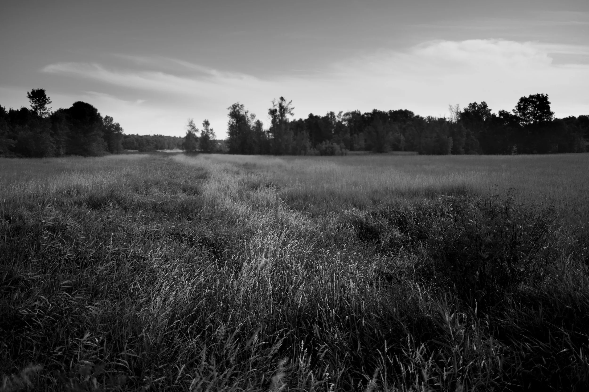Black and white photograph of a grassy field with trees in the background and a partly cloudy sky.