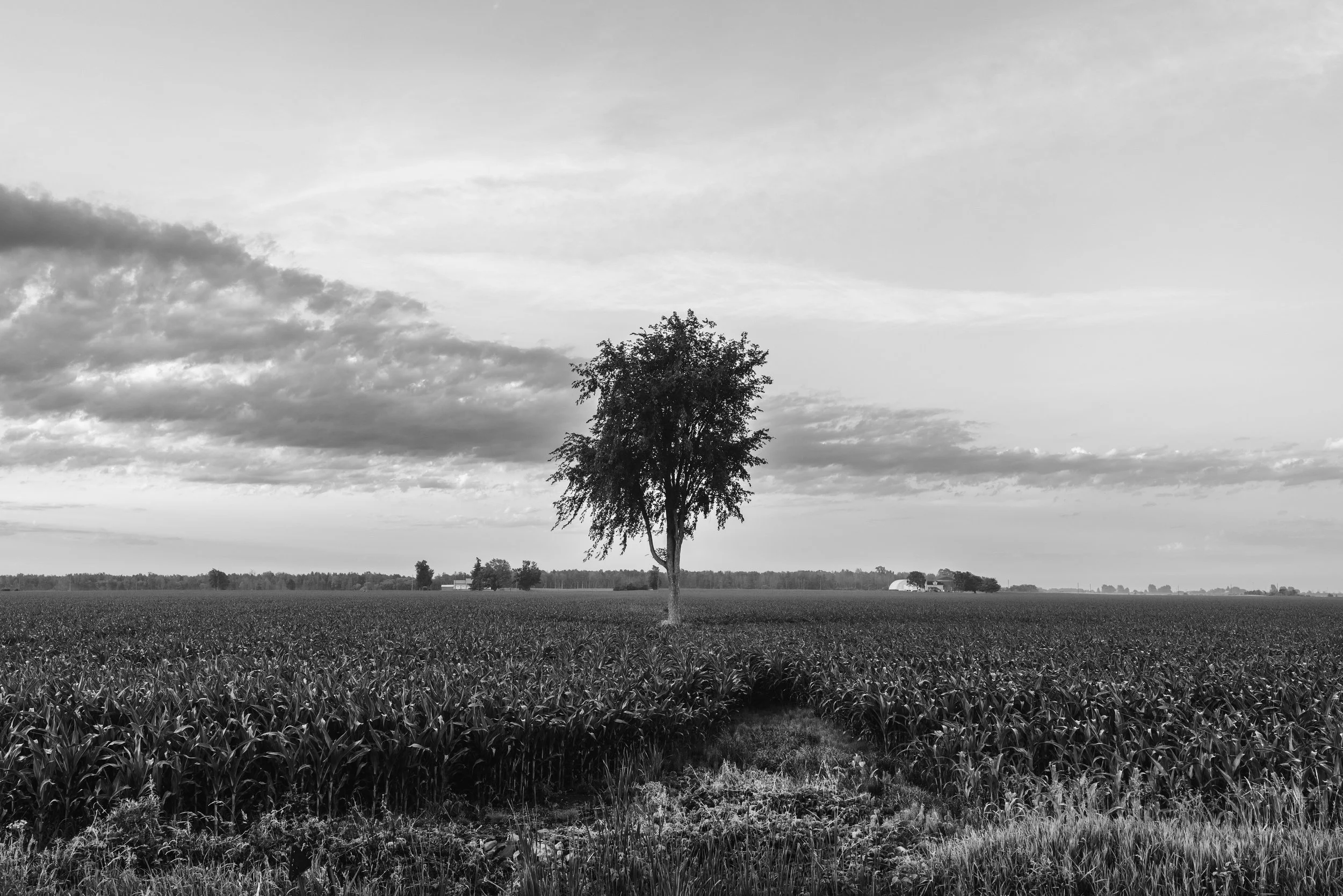 271A9443.jpg